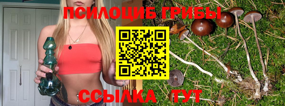 Галлюциногенные грибы ЛСД  Вход с VPN  Белогорск  Псилоцибиновые грибы Psilocybine cubensis 